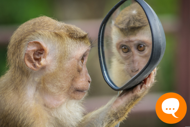 Reflexe a její využití v oddílovém programu