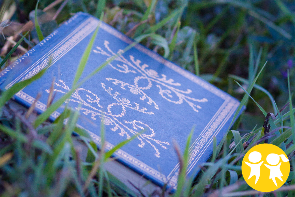 Gamebooky v oddílech